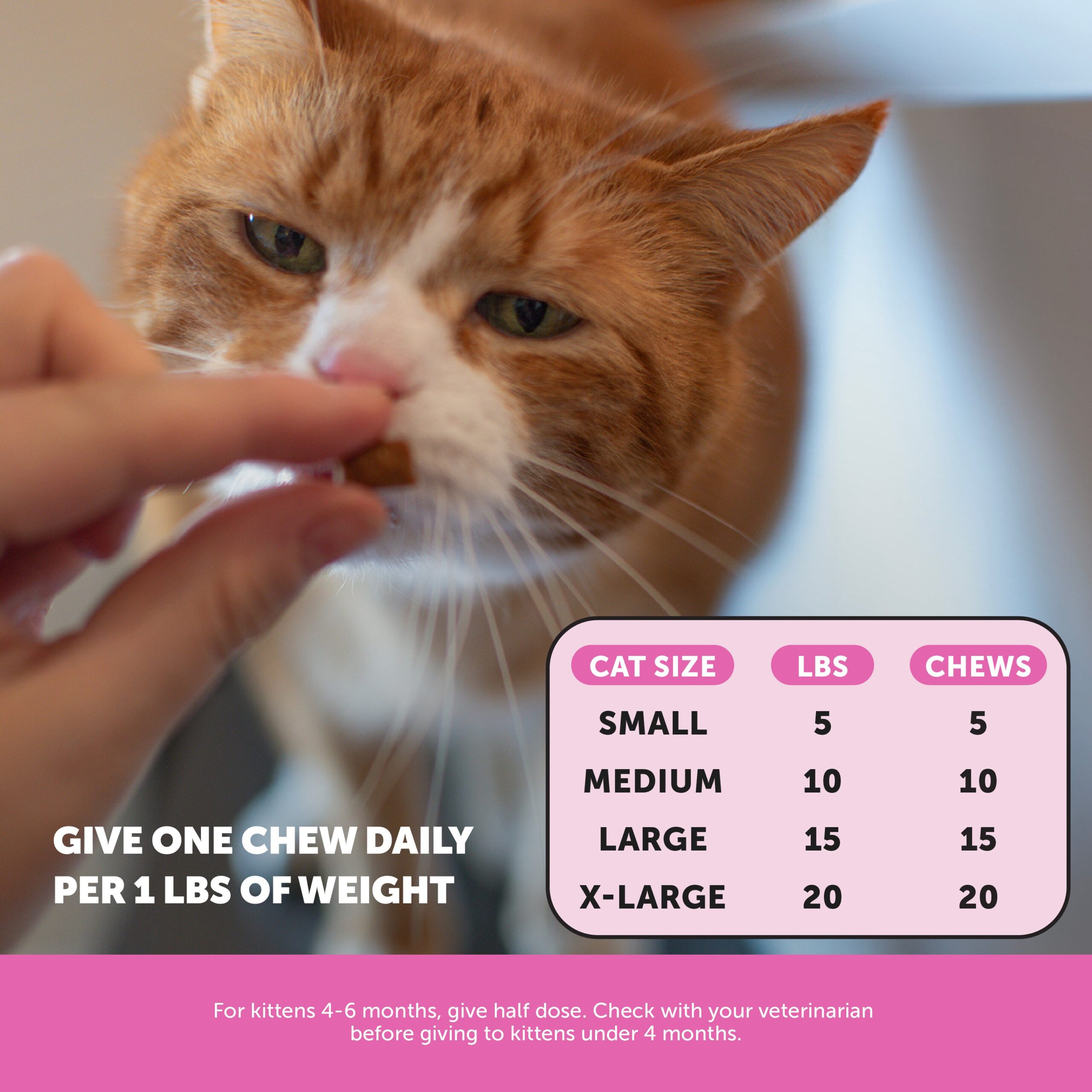 2024_Listing_images_Cat_Multivitamin_Instructions.jpg