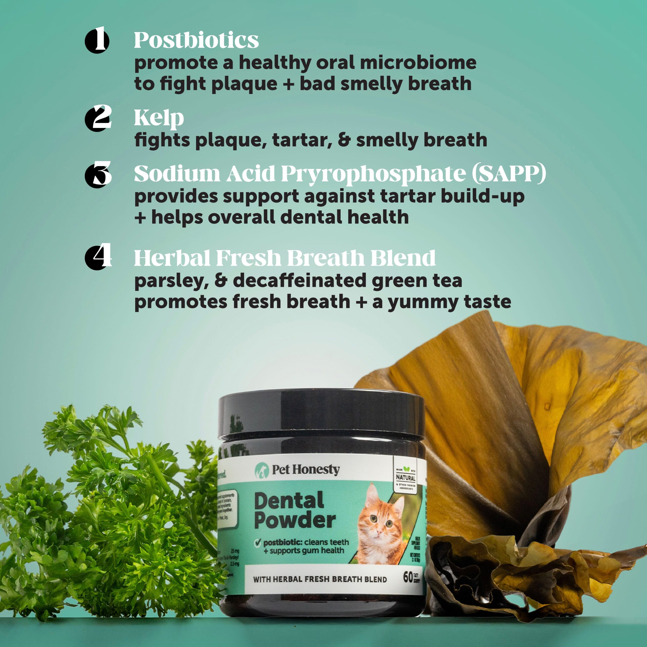 2024_Listingimages_CatDental_IngredientHighlight_60446cc9-f93f-4397-a9f8-60315863f3cb.jpg