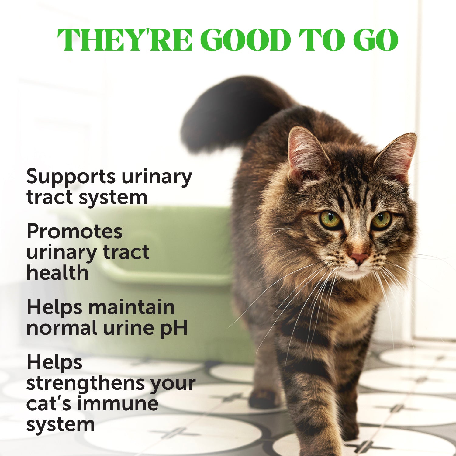 2025_Listingimages_CatUrinary_Benefits.jpg