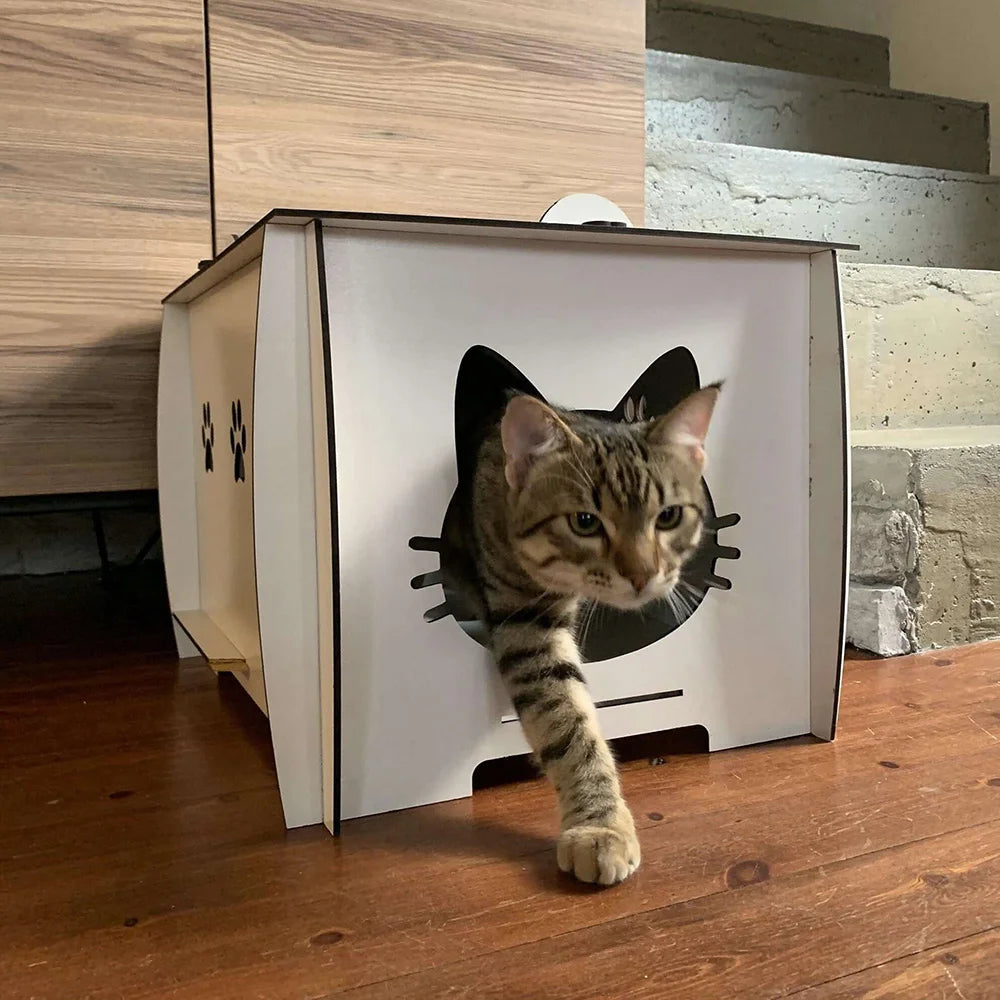 cardboard-cat-house-indoor_1_8b8388bc-22e2-44bb-9e4d-41cb1810fd27.jpg
