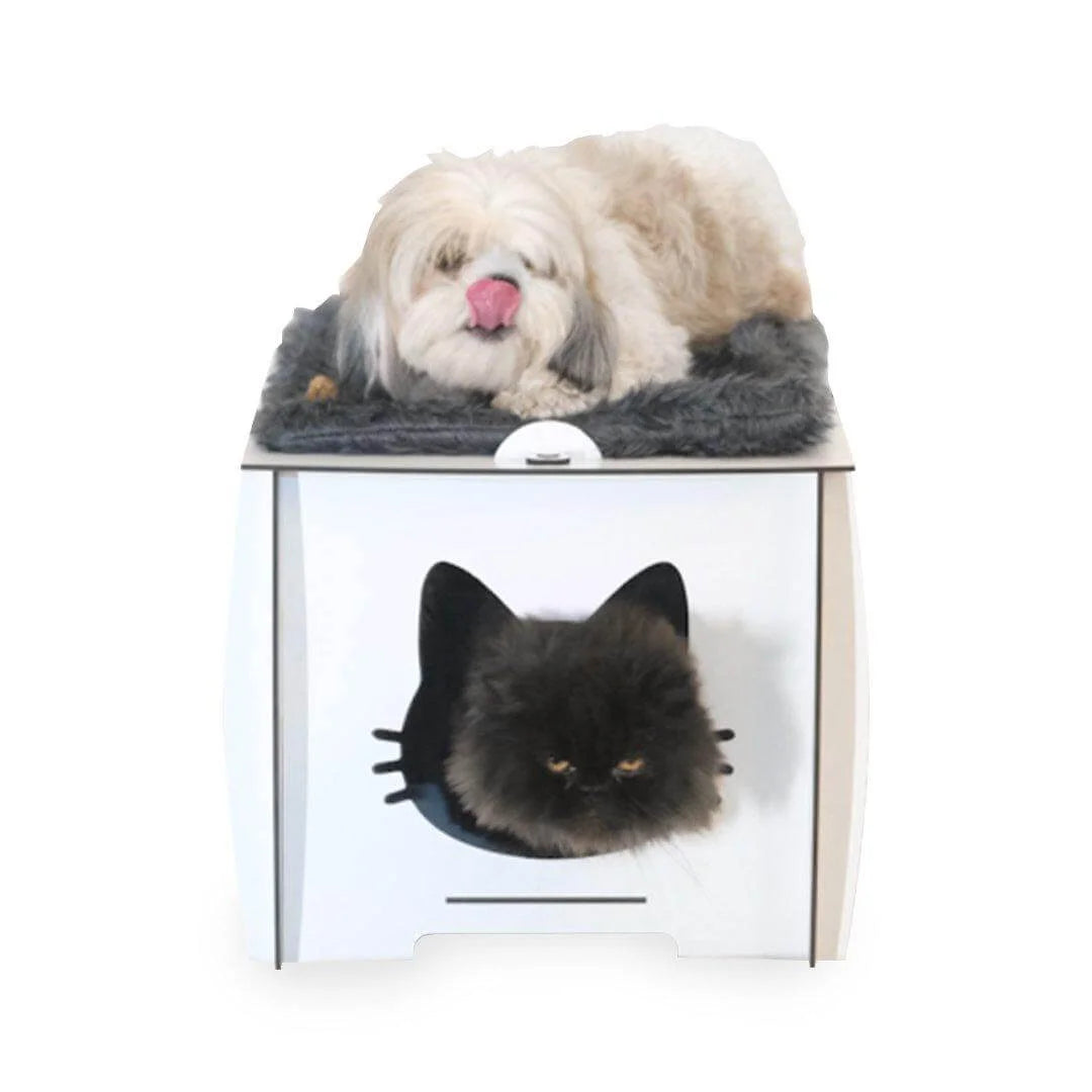 cardboard-cat-house-indoor_4.jpg