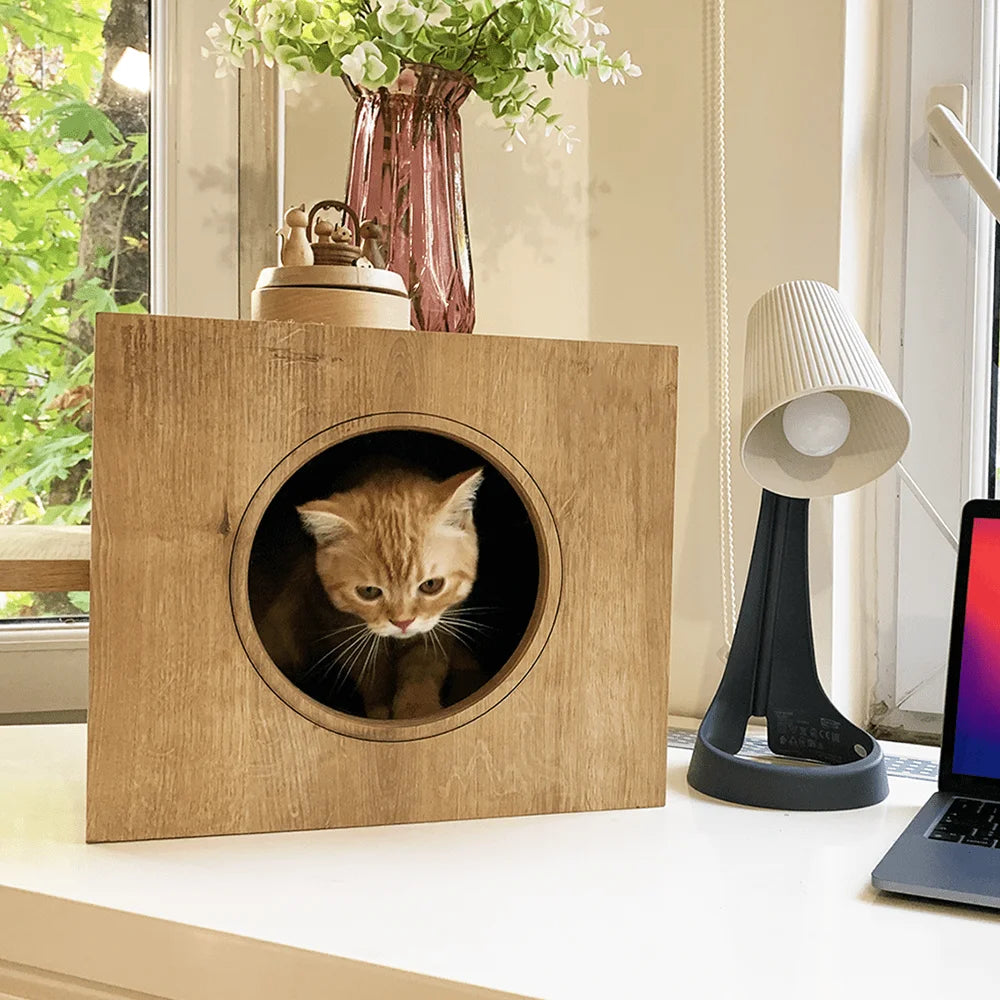 milan-modern-cat-house-3.jpg