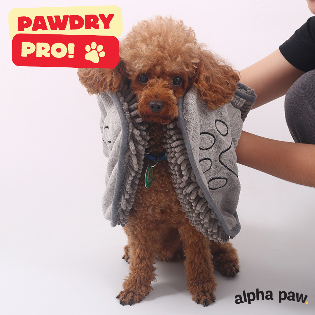pawdry1.png