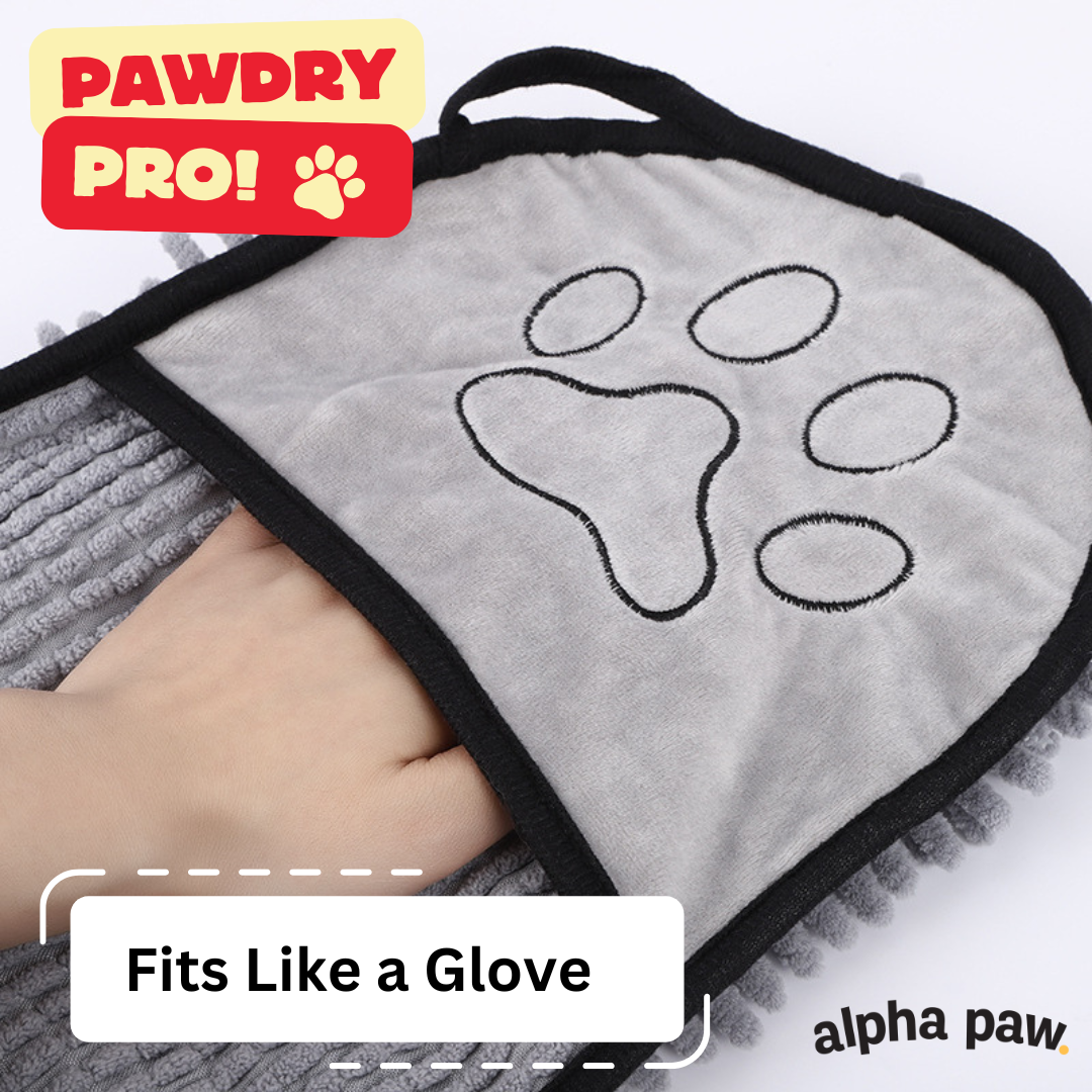 pawdry2.png