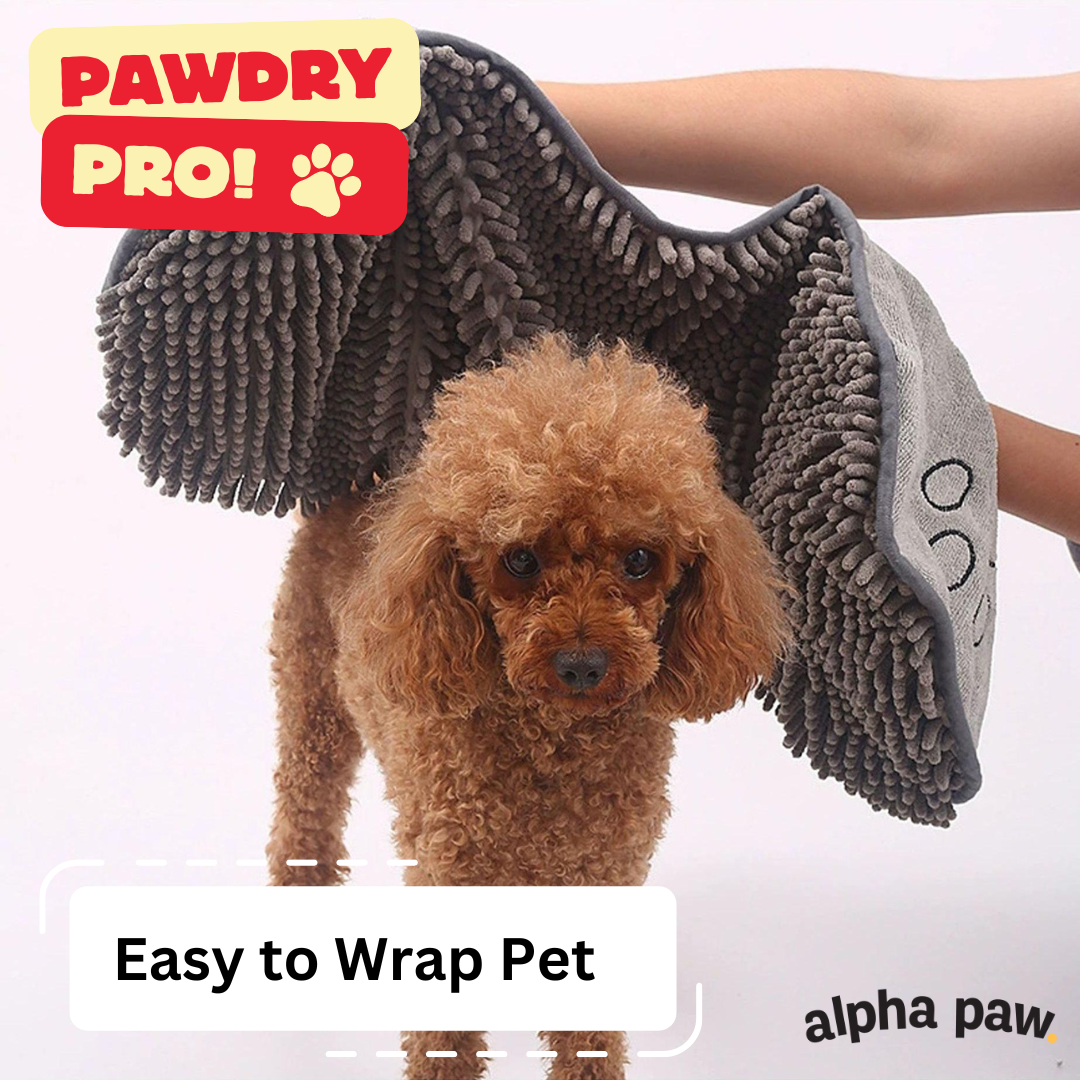 pawdry3.png