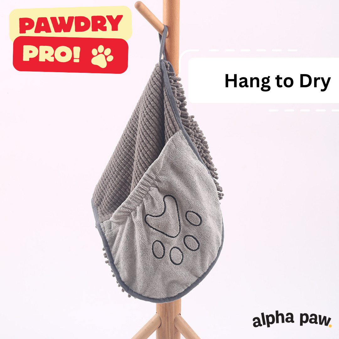 pawdry5.png