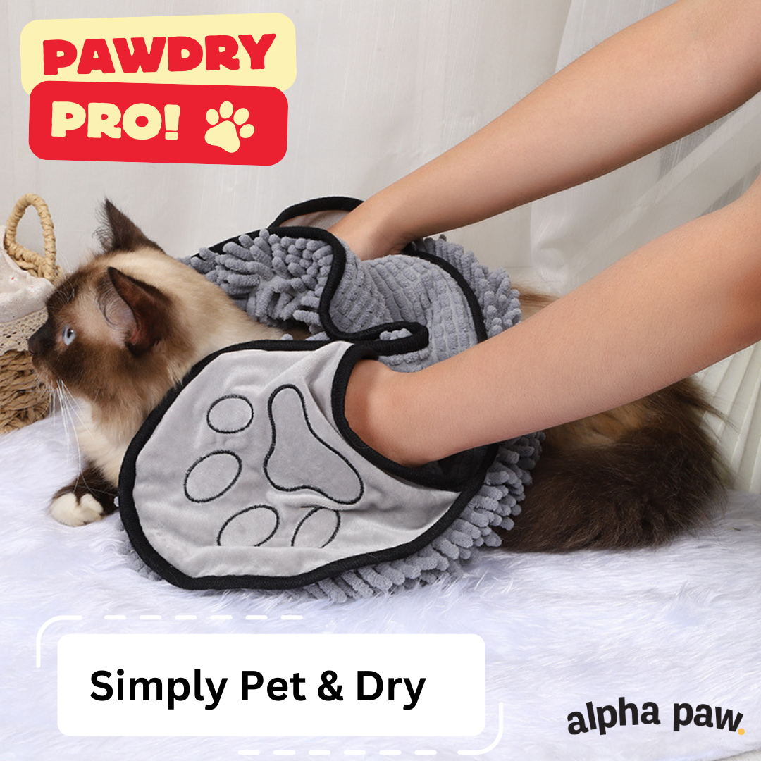 pawdry6.png