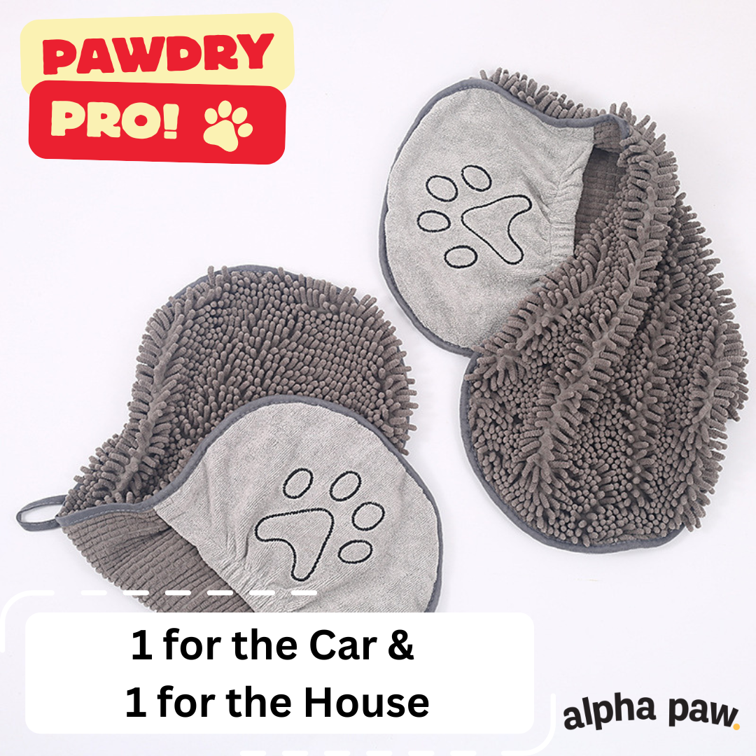 pawdry7.png